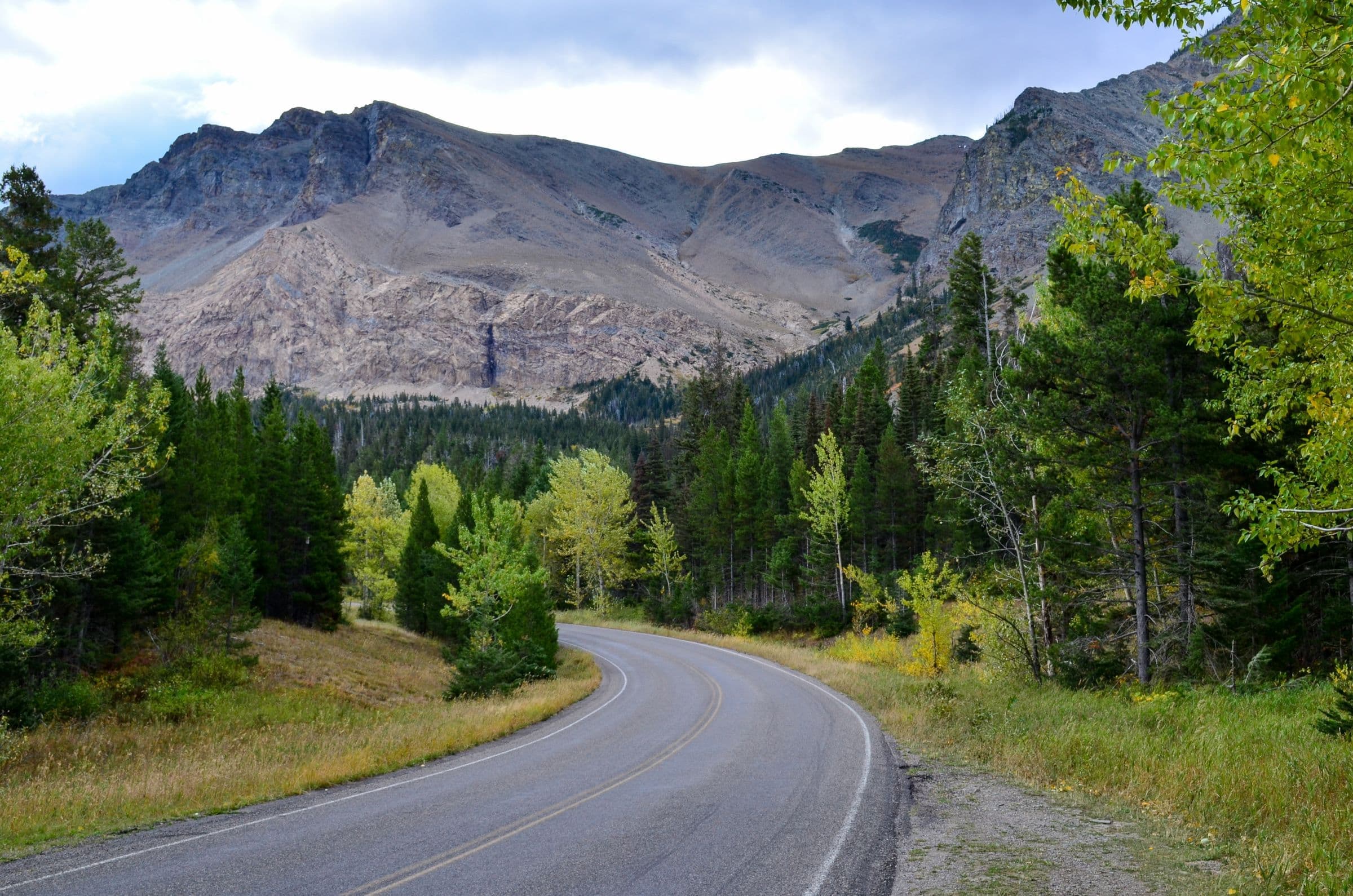 Windshield replacement for Joliet, MT drivers: winding road through pine trees toward a mountain range